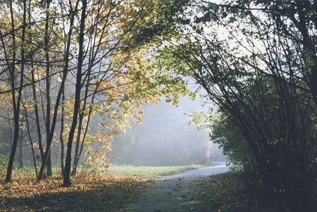 Kuzminki manor. Autumn 2005. Кадр 5