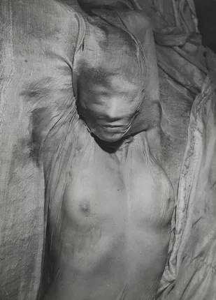 Фотографии, рисунки, фотомонтаж. Кадр 4
