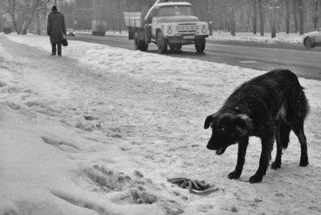 To find consolation in. Кадр 7