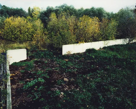 Nagatinskaya flood plain. Кадр 9