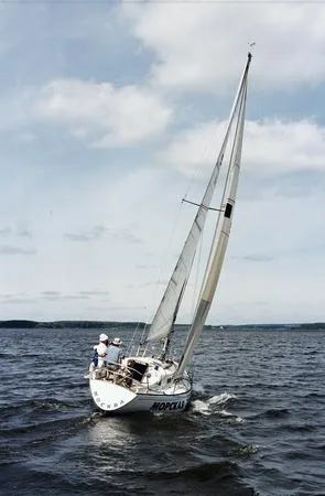 Regatta “Cup of banks”. Кадр 4