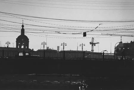 Московская чайка у себя дома — портрет в интерьере. Кадр 19