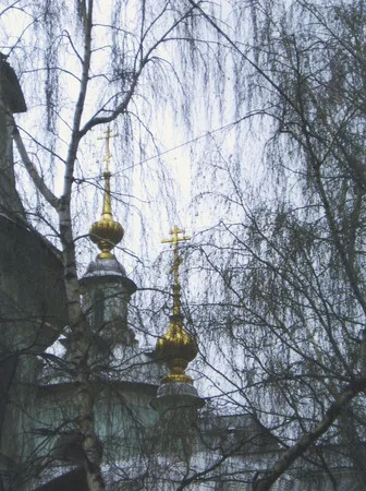 Krivokolennie walks. Кадр 1