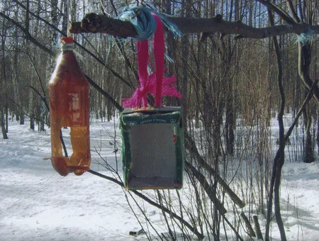 The bird’s public catering. Кадр 16