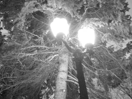 Days in black-and-white. Кадр 6