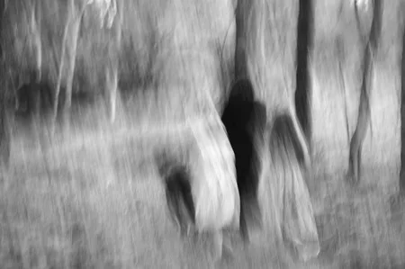 Dreams about childhood (country Moscow, Vostryakovo). Кадр 13