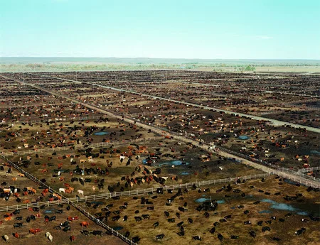 Andreas Gursky. Кадр 1