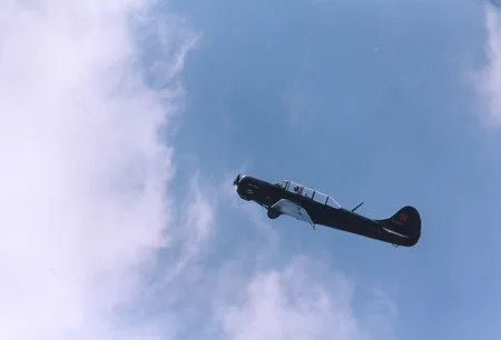 Life in the sky. Кадр 3