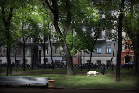 Moscow and Muscovites. Кадр 5