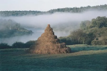 Улица, Искусство, Мода. Новая фотография из новой России. 1991-2005. Кадр 6