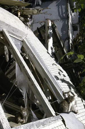 Eviction (never to return). Кадр 7