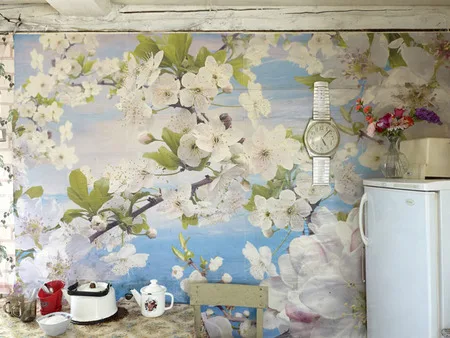 Эрмитажники, Dreaming Walls. Кадр 5