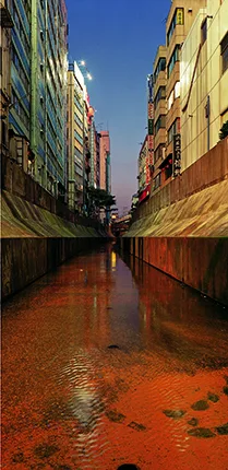 Память и свет. Японская фотография, 1950-2000. Кадр 6