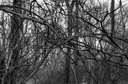 Still life: Calm life and Still life. Кадр 10