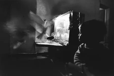 About the Circus. Кадр 6