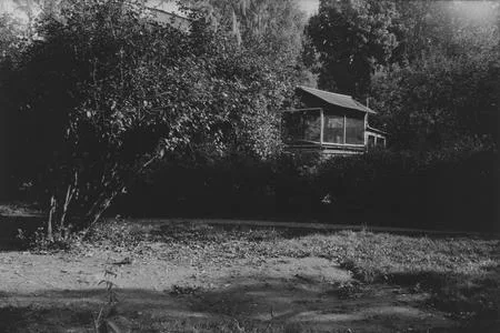 Silent life to Medvedkovo. Кадр 5