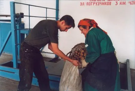 Овощебаза. Кадр 3