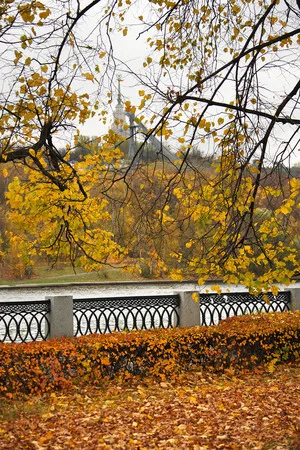 Осенняя мелодия. Кадр 4