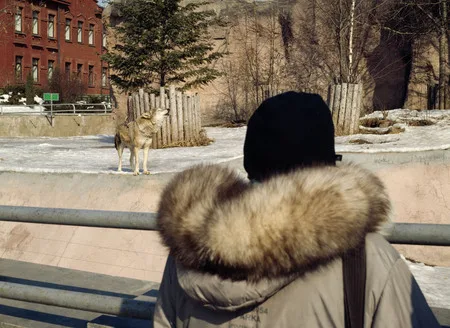 Whose fur coat is better?. Кадр 1