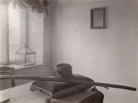 Russian photography. Strokes to a history. Кадр 1