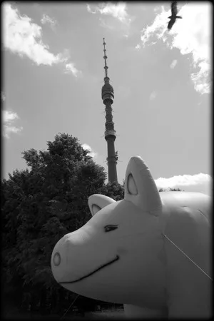 Ostankino’s tower. Кадр 2