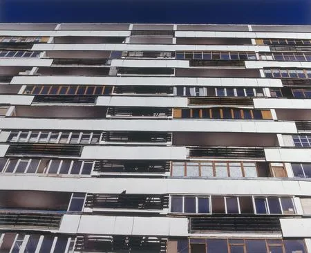 The Moscow starling houses. Кадр 1