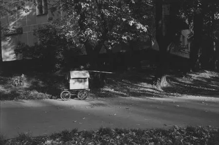 Silent life to Medvedkovo. Кадр 1