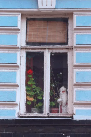 Московские окна. Кадр 1