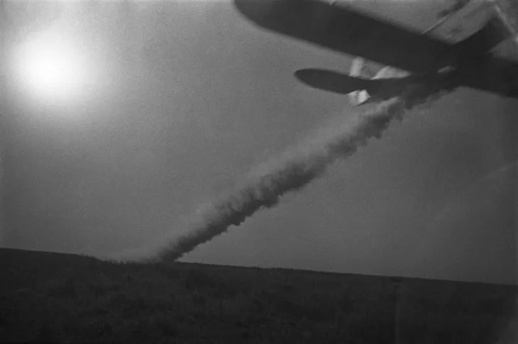 Фотографии 1932-1941. Кадр 11