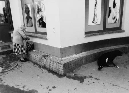 Moments of a city life. Кадр 4