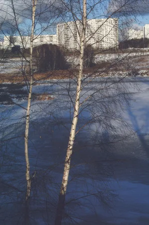 Built in nature I. Кадр 1