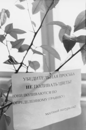 Стационар. Кадр 12