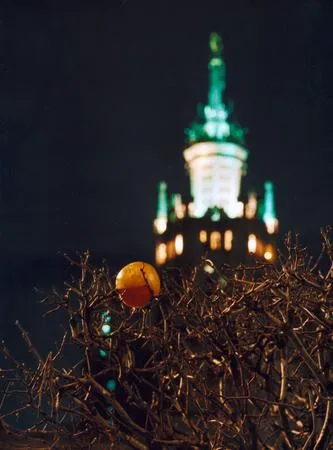 Light and Color. Кадр 6