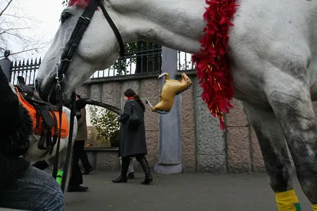 Muscovites. Кадр 11