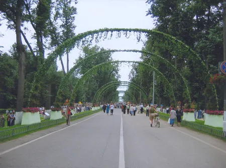Фестиваль цветников. Кадр 1