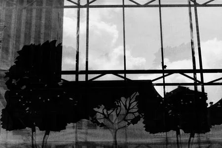 Curtain. Кадр 6