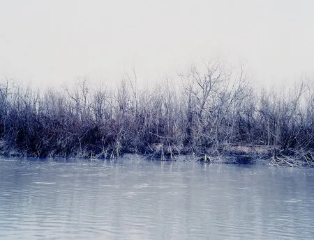 Still life: Calm life and Still life. Кадр 1