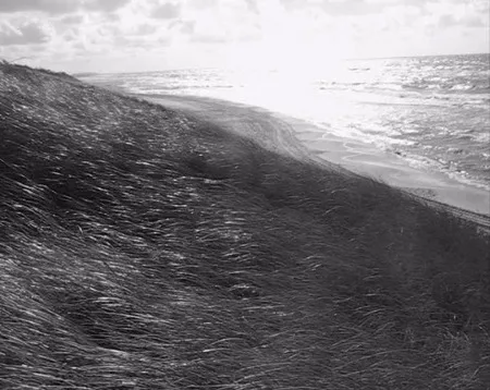 The Sea is Rough just Once. Кадр 3