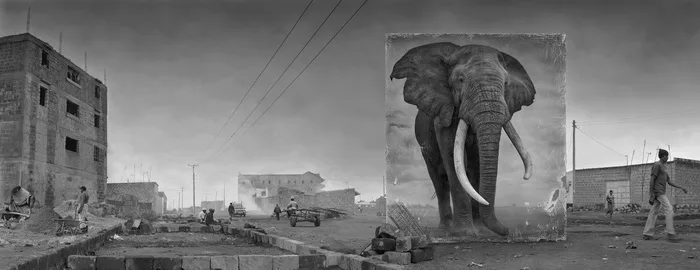 Inherit the Dust. Кадр 6