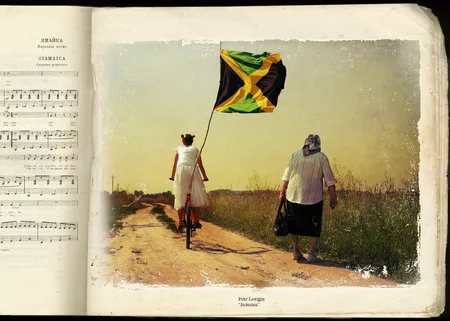 Jamaica. Кадр 2