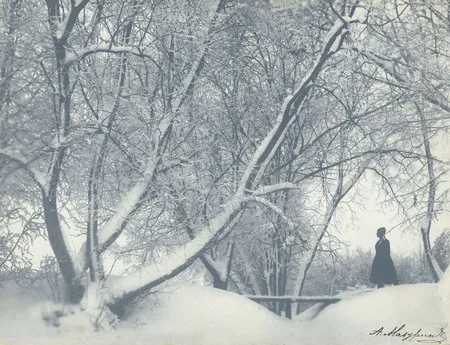 Quiet resistance. Russian pictorialism. 1900 — 1930’s. Кадр 16
