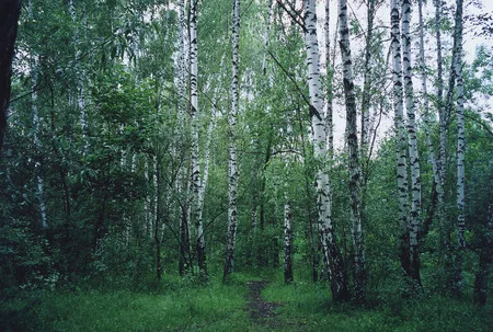 Parcs of Moscow. Кадр 7