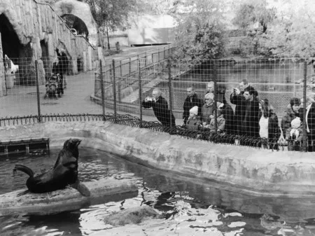In the zoo. Кадр 2