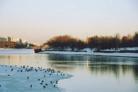 Winter dawn in Kolomenskoe. Кадр 4