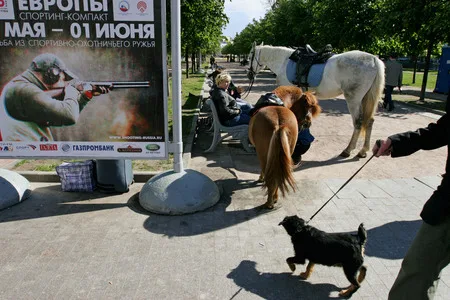 Muscovites. Кадр 9