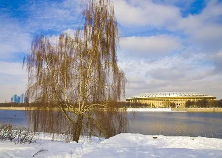 36 views of the Puddle or opening of Katsushika Hokusai monument in Moscow. Кадр 28