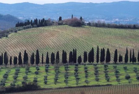 Italy. Кадр 3