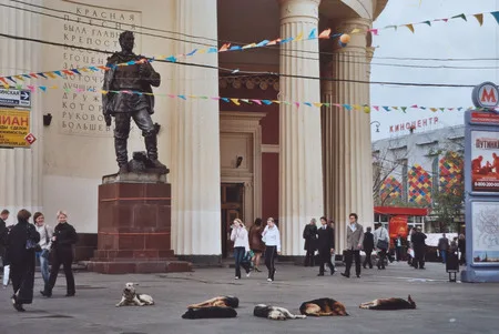 Dog’s life. Кадр 4