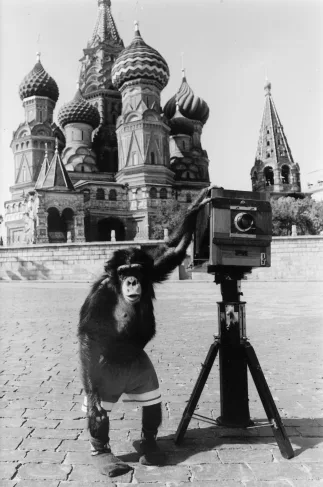 Фотографии Микки в соавторстве с Виталием Комаром и Александром Меламидом. Кадр 1