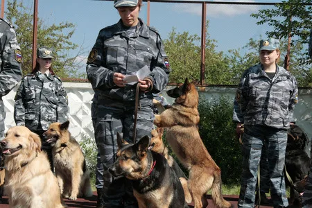 In the dog training centre. Кадр 4